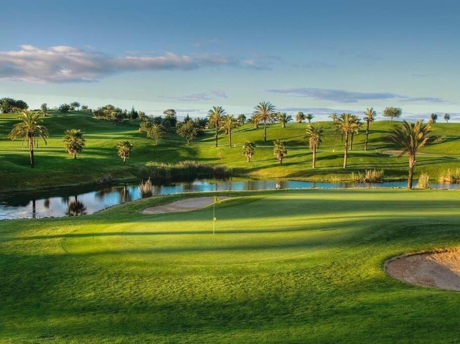 Golf 2 By Coral *